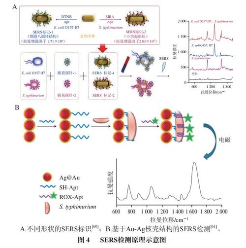 纳米生物传感分析技术如何突破检测极限？-图2