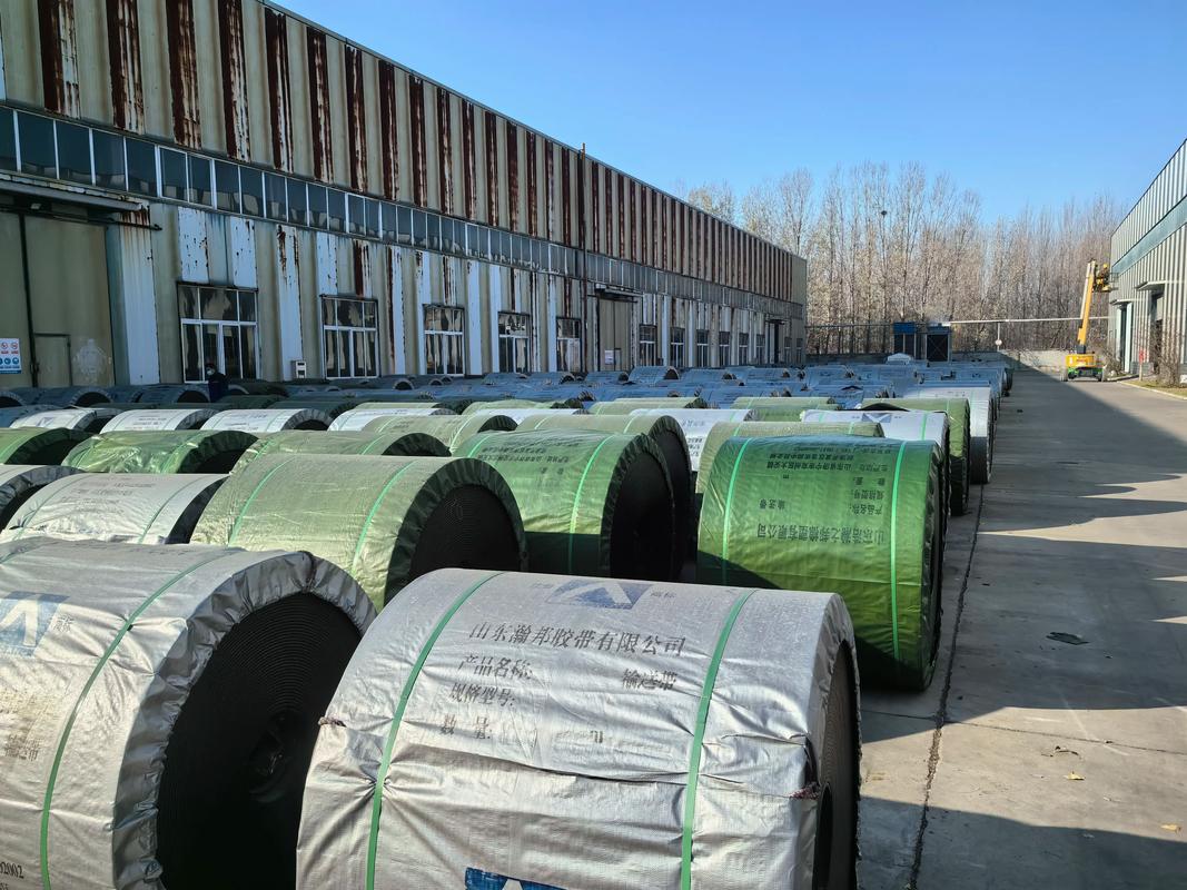 进口输送带品牌怎么选？-图3