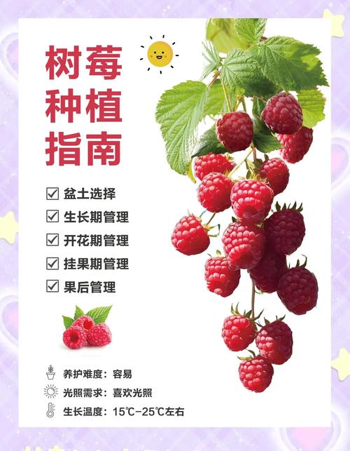 树莓种植技术最新图书有哪些要点?-图1 树莓种植技术最新图书有哪些要点?-图1