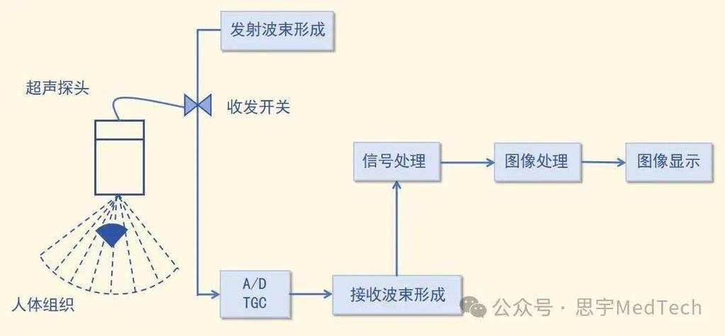 高频超声如何实现清晰成像？-图2