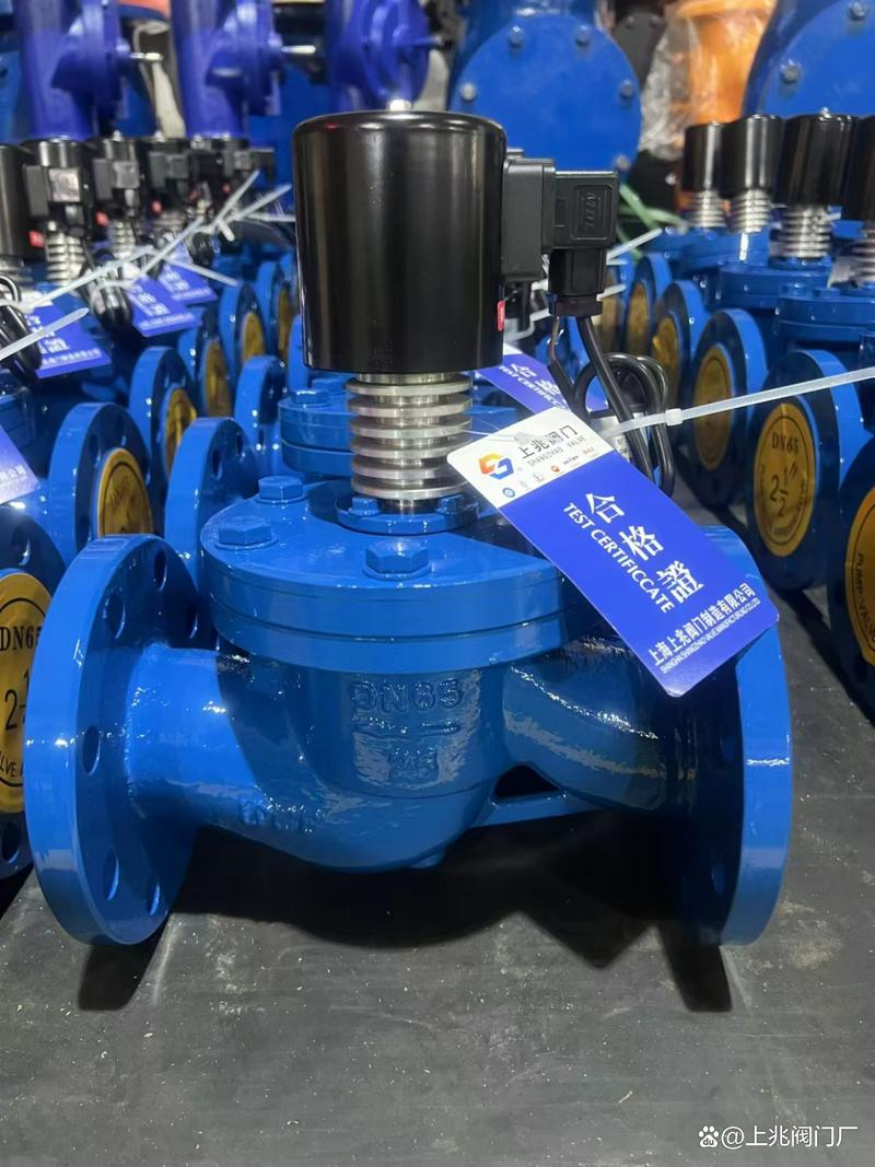 国产高温电磁阀品牌，哪些更靠谱？-图2