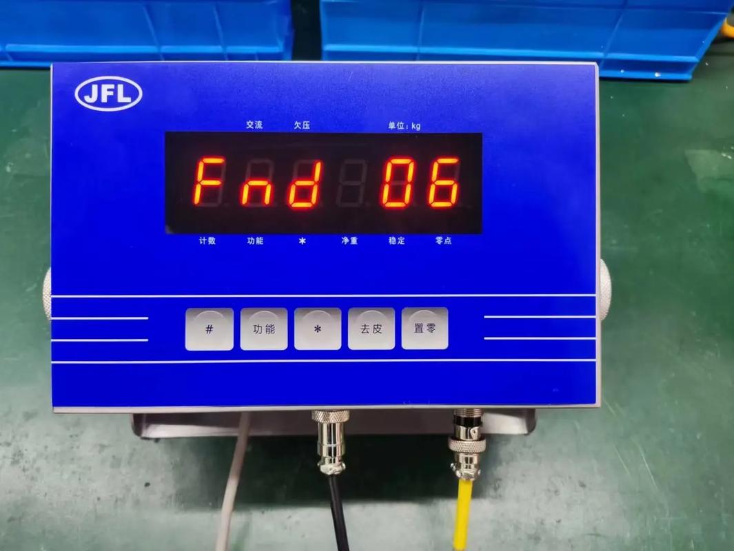 小电子地磅秤哪个品牌好-图1