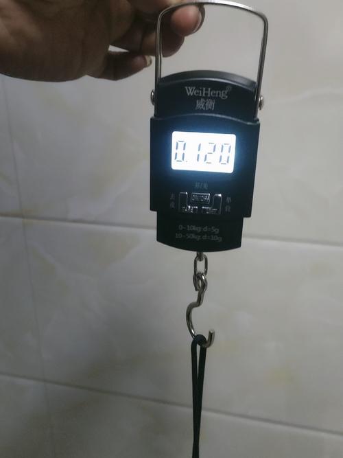 小电子地磅秤哪个品牌好-图3