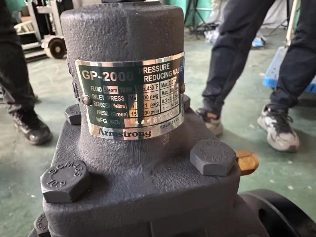 工业蒸汽减压阀品牌哪家强？-图3