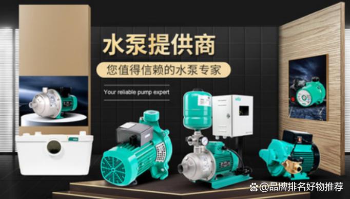 强制蒸发循环泵世界品牌有哪些？-图3