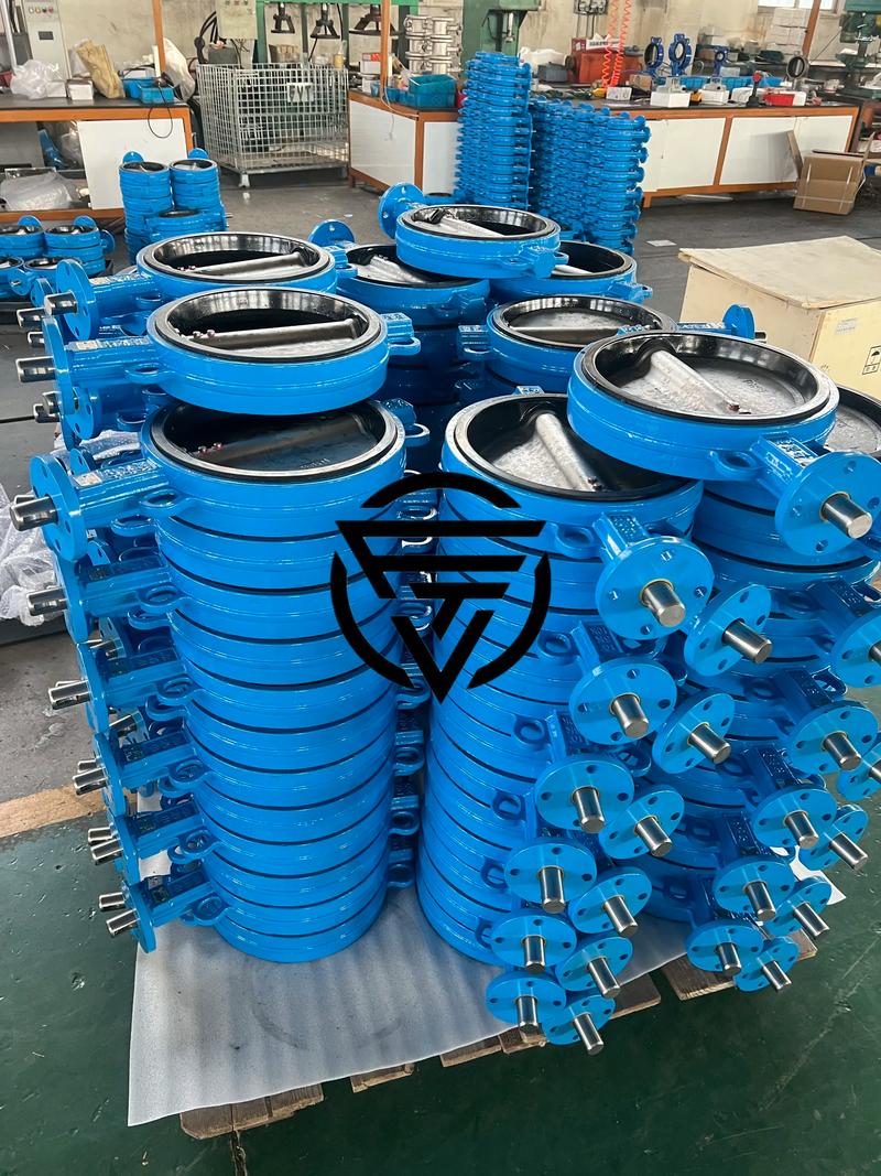 对夹式蝶阀十大品牌排行-图3