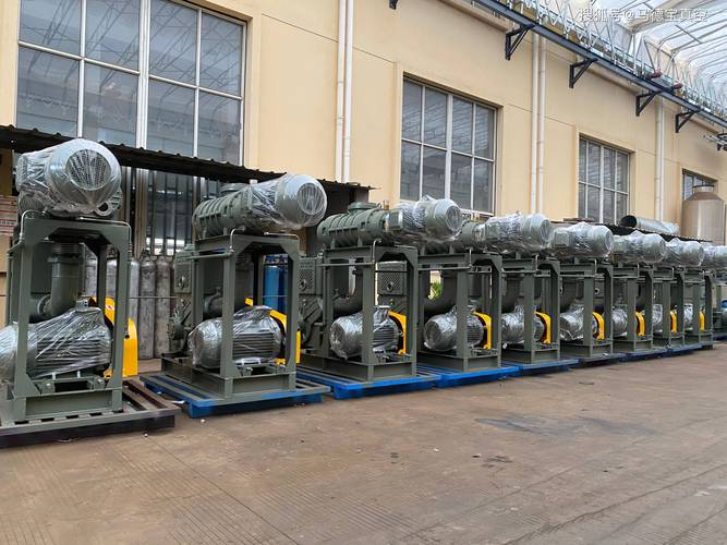 国内品牌真空系统供应商-图2