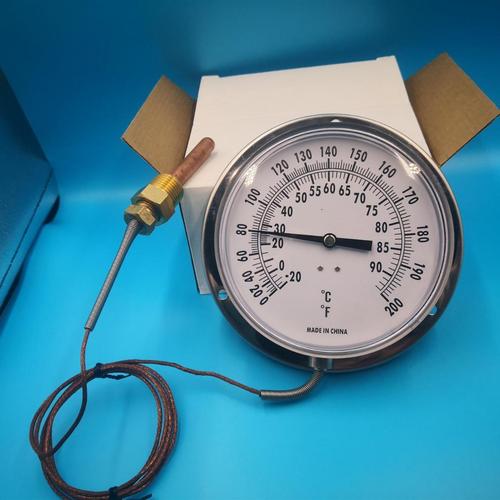 温度压力仪表国际品牌哪家强？-图2