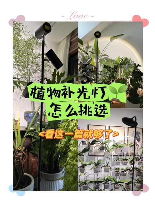 LED植物灯技术如何优化植物生长效率？-图2
