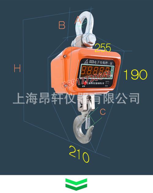 出口10吨电子吊秤品牌哪家强？-图2