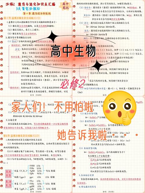 生物识别技术利弊如何?安全与隐私如何平衡?-图2 生物识别技术利弊如何?安全与隐私如何平衡?-图2