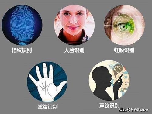 生物识别技术利弊如何?安全与隐私如何平衡?-图1 生物识别技术利弊如何?安全与隐私如何平衡?-图1