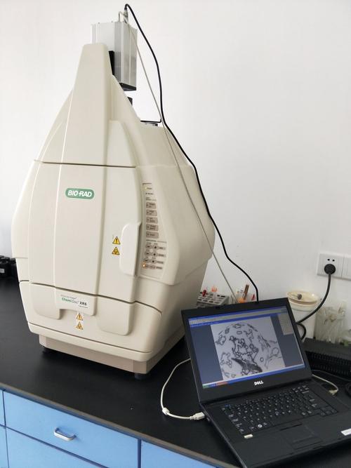 进口凝胶成像品牌,选哪个更合适?-图2 进口凝胶成像品牌,选哪个更合适?-图2