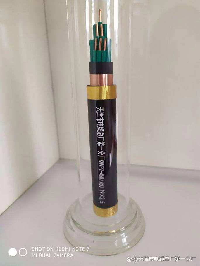 zr-rvv是什么品牌-图3