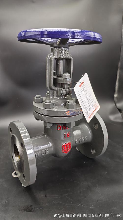 上海闸阀品牌质量哪家好？-图2
