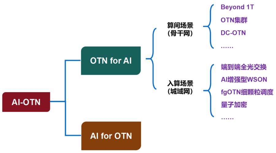 otn技术的后续发展-图2