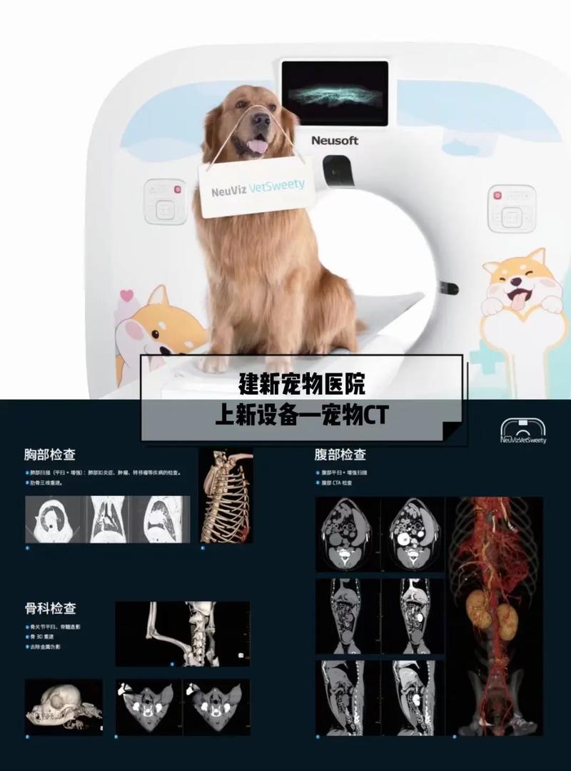 动物专用CT品牌有哪些?-图1 动物专用CT品牌有哪些?-图1