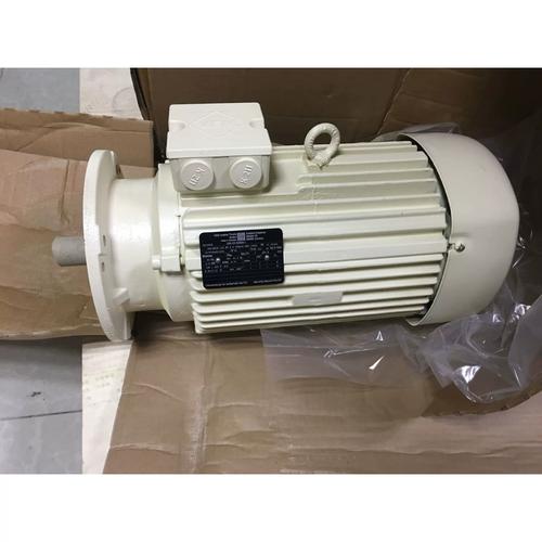 VEM是什么品牌的电机？-图2