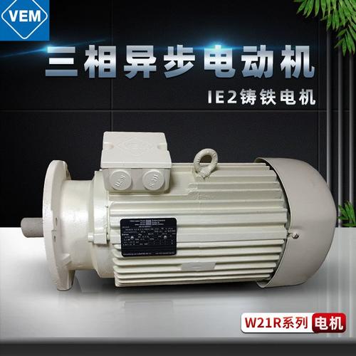 VEM是什么品牌的电机？-图1