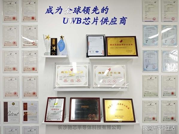 全球芯片技术授权如何影响行业格局?-图1 全球芯片技术授权如何影响行业格局?-图1