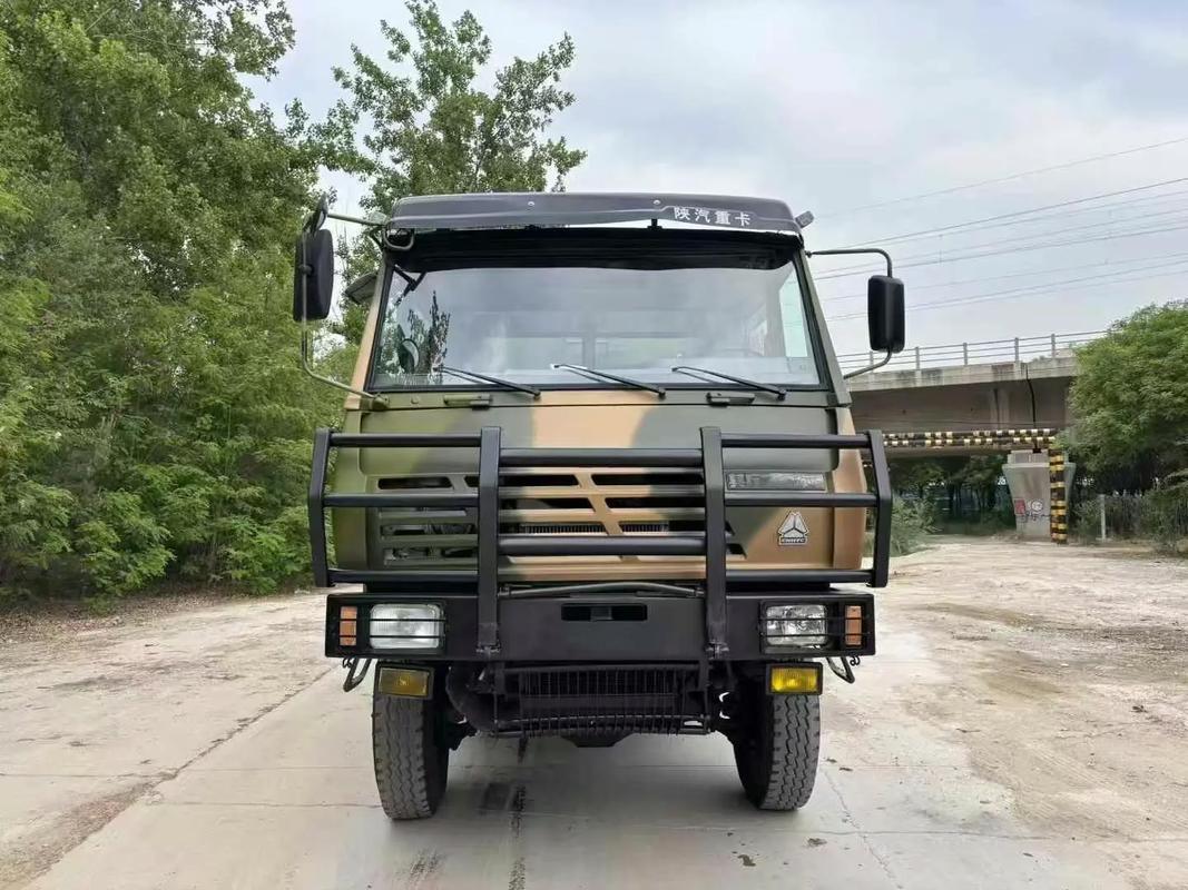 斯太尔汽车品牌型号怎么查？-图2