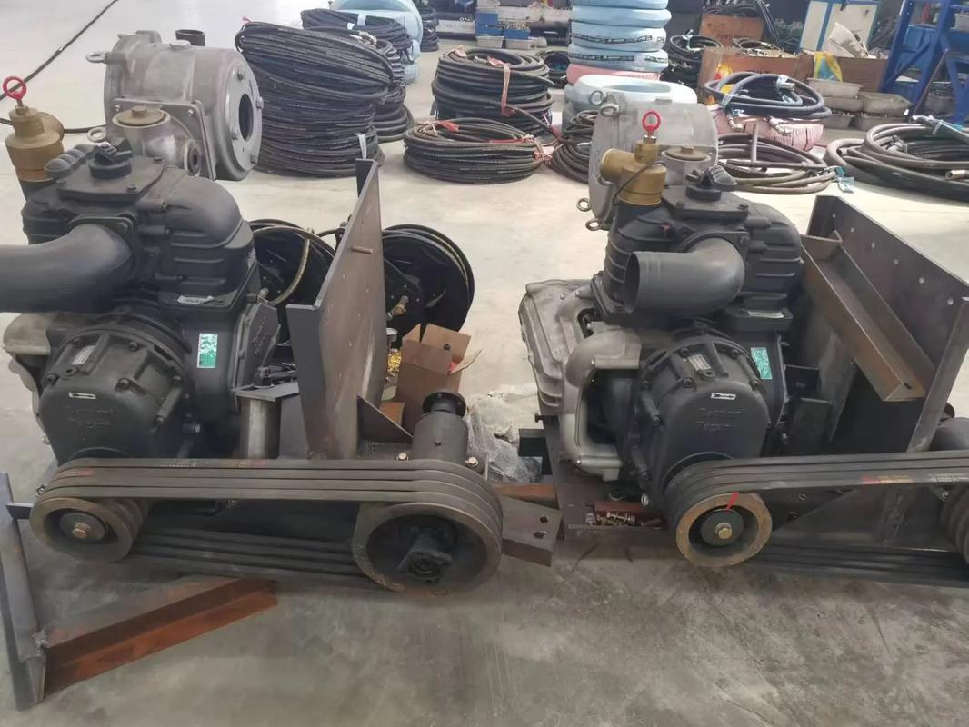 意大利印刷真空泵品牌有哪些?-图1 意大利印刷真空泵品牌有哪些?-图1