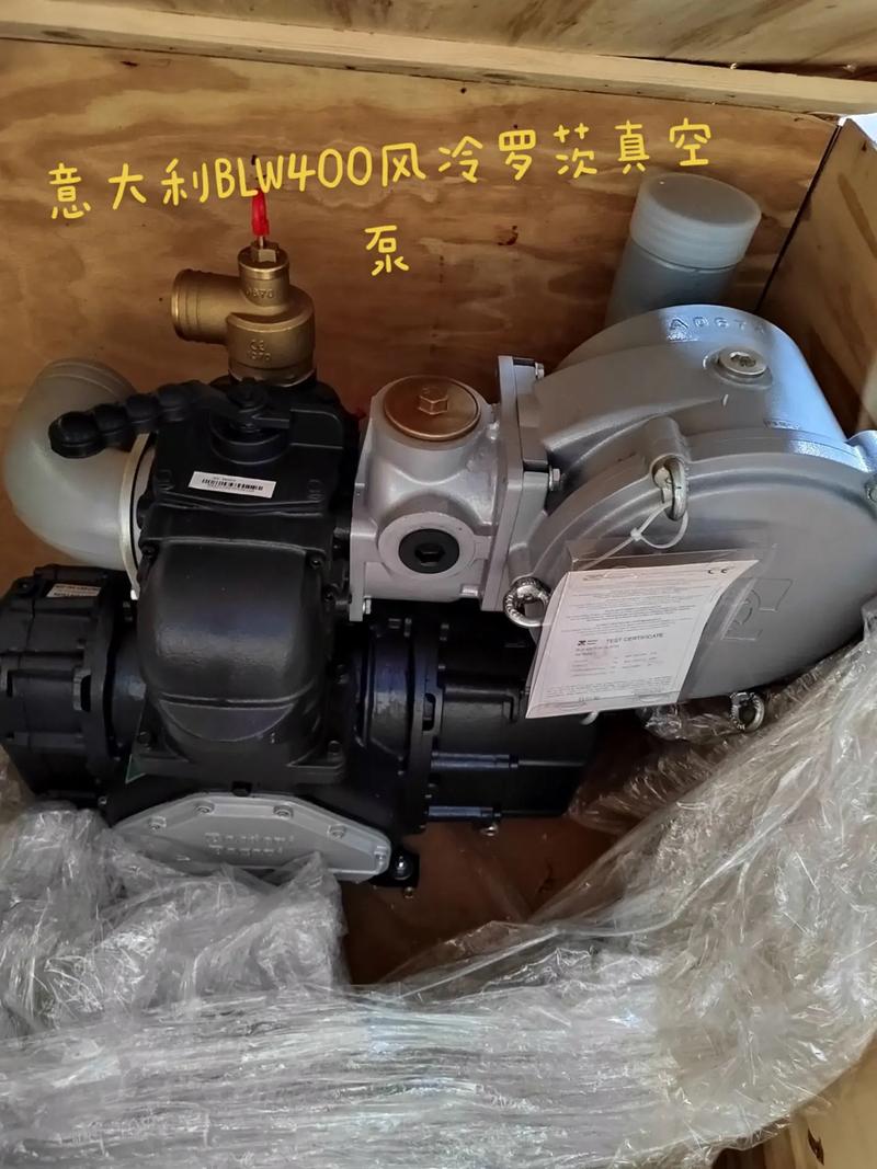 意大利印刷真空泵品牌有哪些？-图3