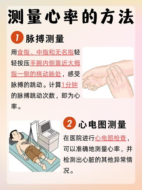 脉搏心率测量技术方案有哪些核心方法？-图1