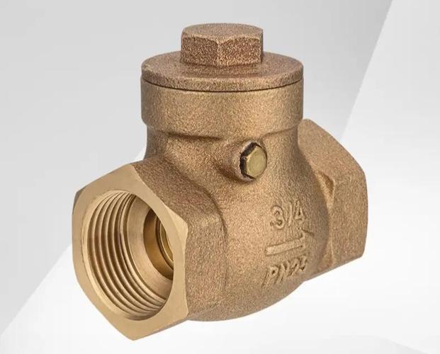 给水止回阀品牌怎么选?-图3 给水止回阀品牌怎么选?-图3