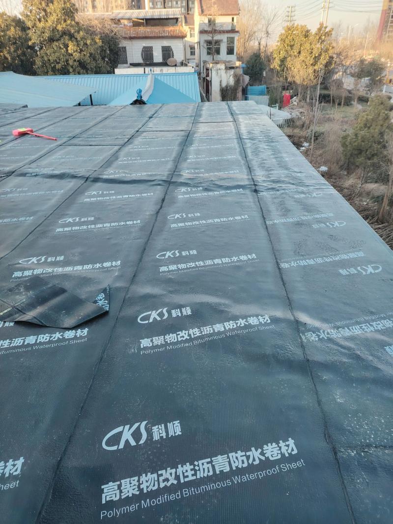 SBS防水卷材品牌有哪些？-图2
