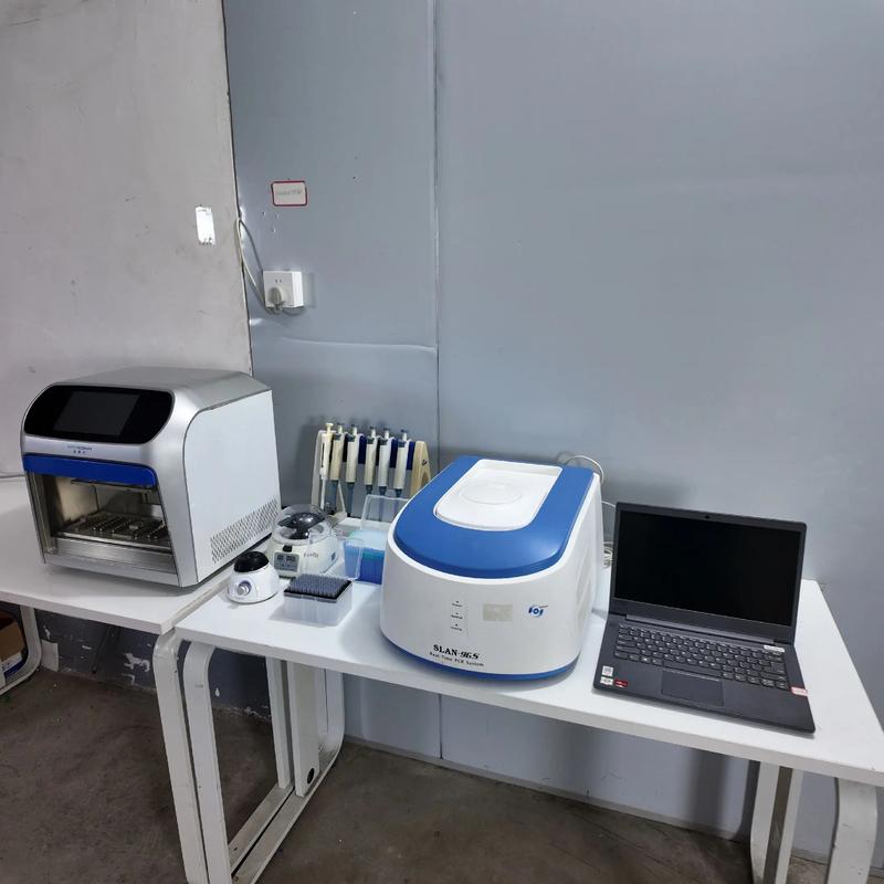 PCR核酸检测技术如何精准检测？-图2