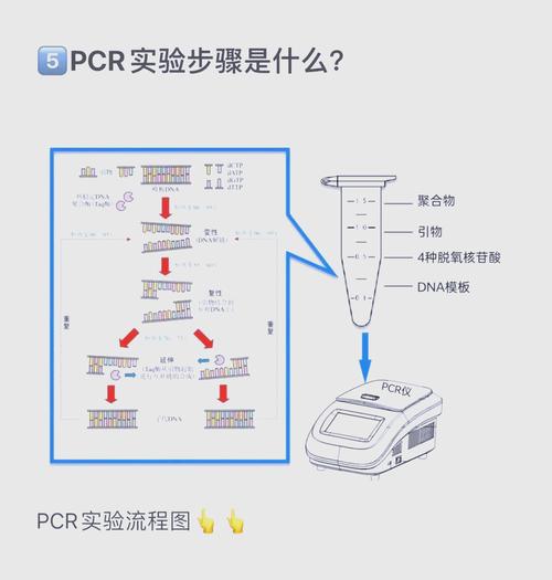 PCR核酸检测技术如何精准检测?-图1 PCR核酸检测技术如何精准检测?-图1