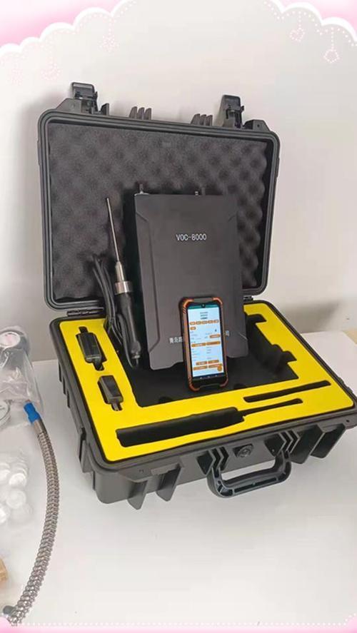 国产在线VOC检测品牌哪家强？-图3