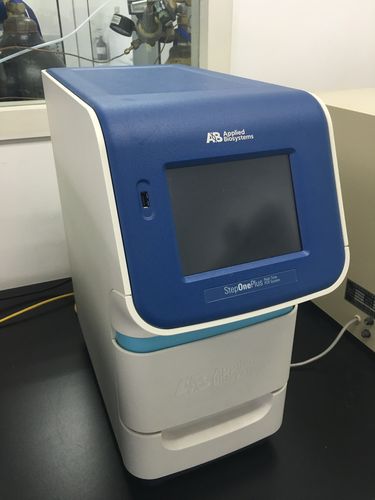 BMS荧光PCR仪品牌如何选?-图1 BMS荧光PCR仪品牌如何选?-图1