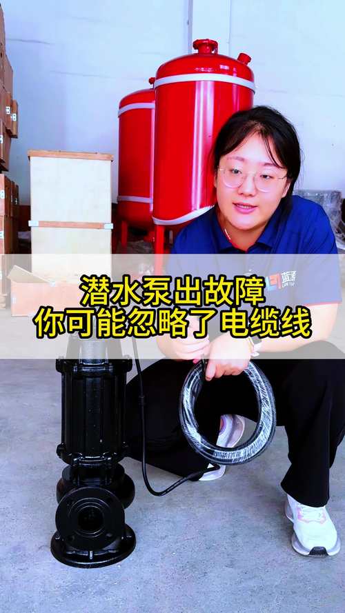 220V潜水泵故障维修,问题出在哪?-图1 220V潜水泵故障维修,问题出在哪?-图1