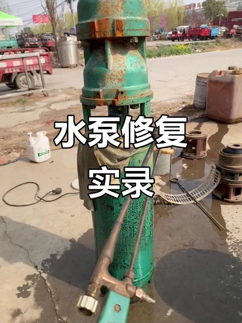 220V潜水泵故障维修,问题出在哪?-图2 220V潜水泵故障维修,问题出在哪?-图2