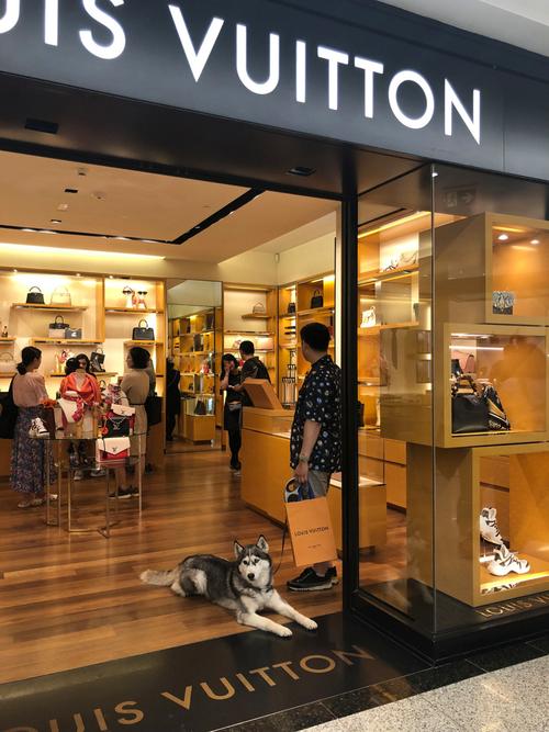 Falco是哪个国家的品牌?-图1 Falco是哪个国家的品牌?-图1