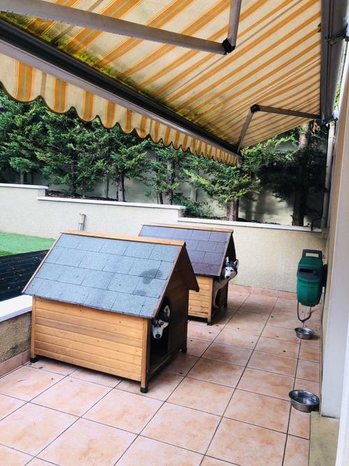 Falco是哪个国家的品牌？-图2