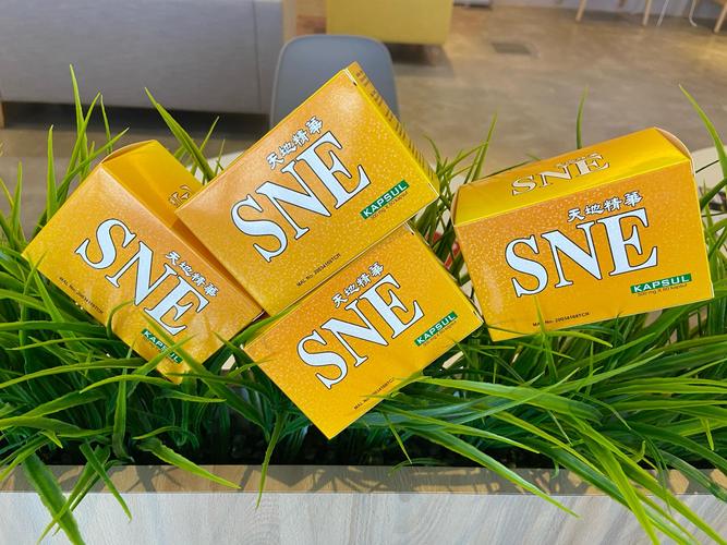 加拿大Walsn是假品牌吗？-图2