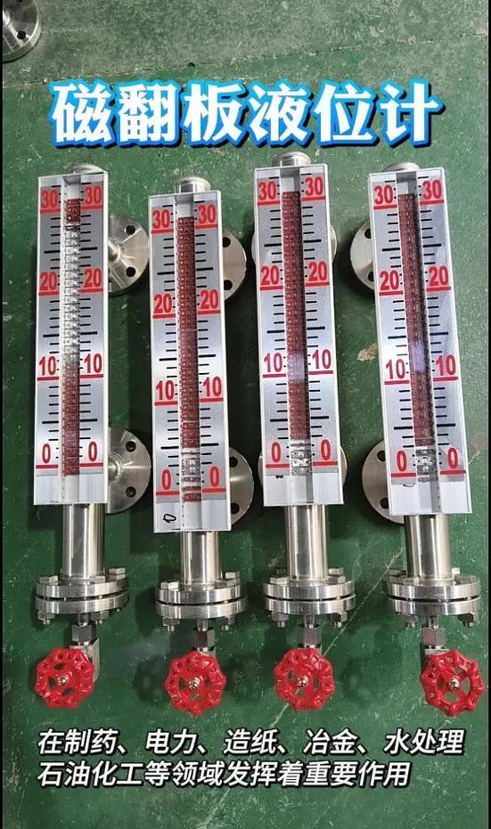 电极式液位计品牌有哪些？-图3