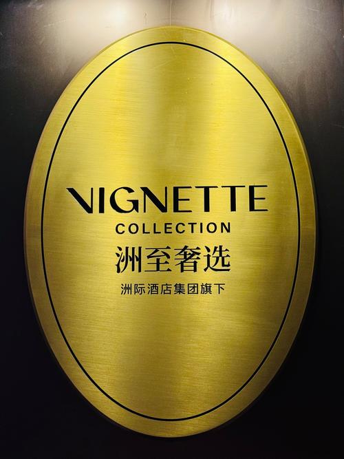 viking是什么品牌-图3