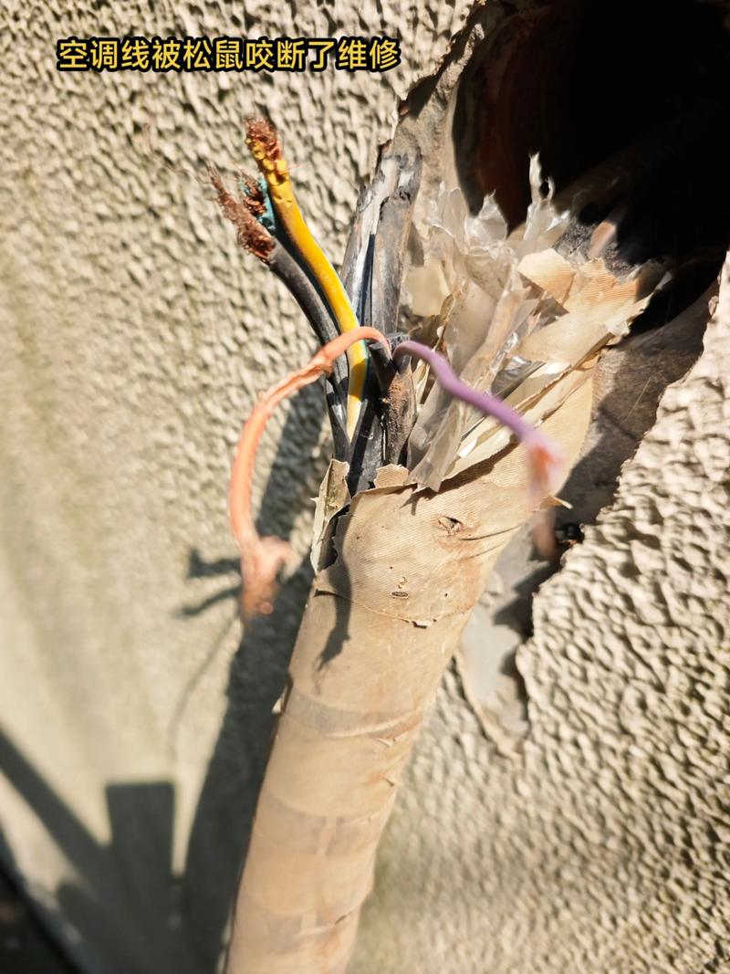 高压电线断了维修怎么s-图1