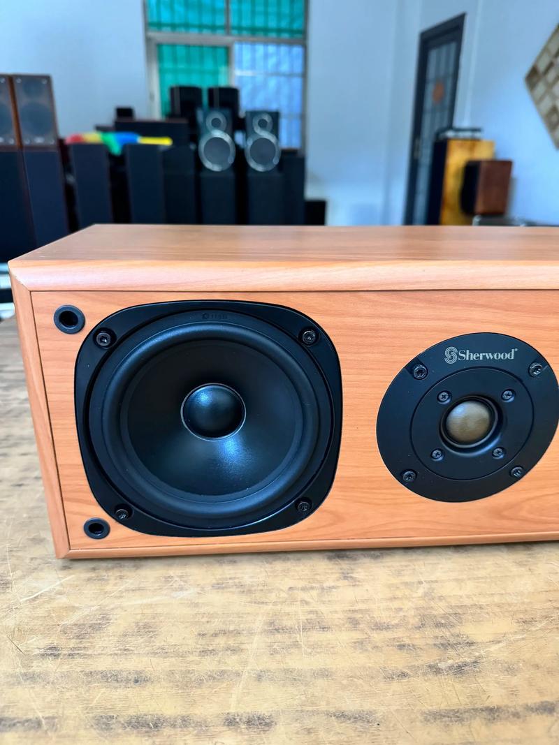 贵阳美国狮龙音响维修点-图1