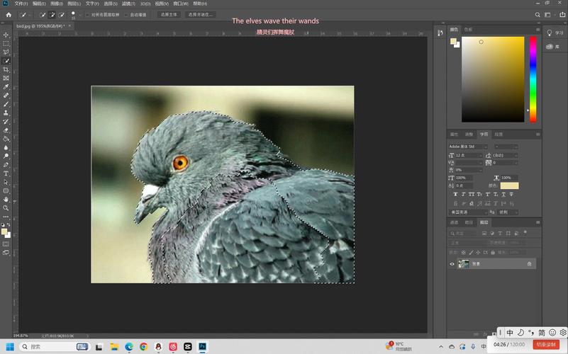 图像预处理技术 视频-图3