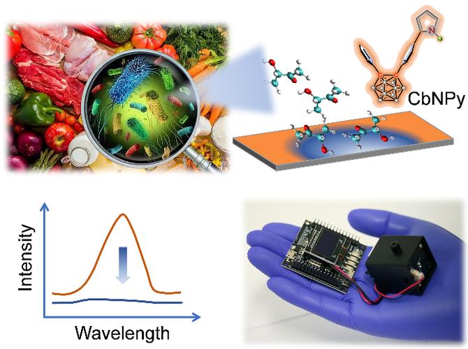 检测传感技术有哪些关键类型？-图3