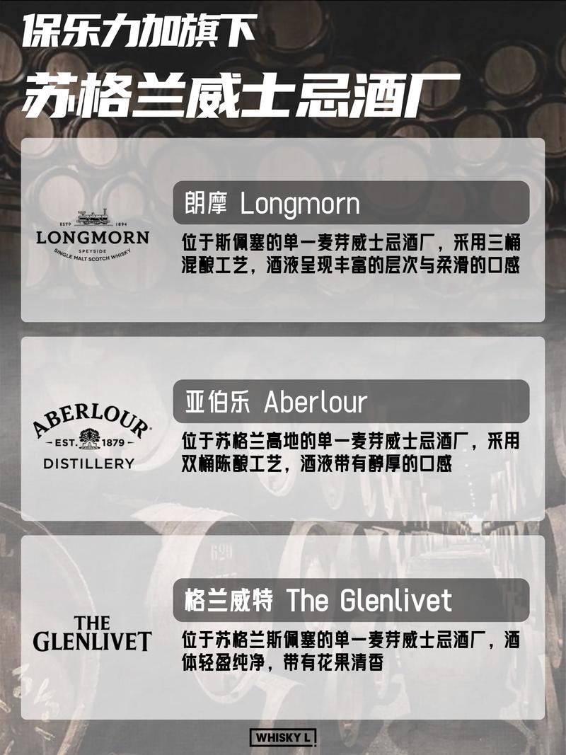 wis是哪个国家的品牌-图2