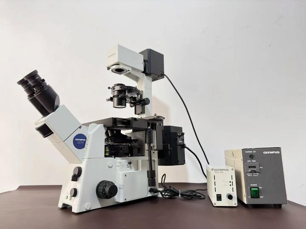 国外荧光显微镜品牌有哪些推荐?-图1 国外荧光显微镜品牌有哪些推荐?-图1