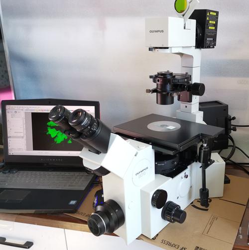 国外荧光显微镜品牌有哪些推荐?-图3 国外荧光显微镜品牌有哪些推荐?-图3