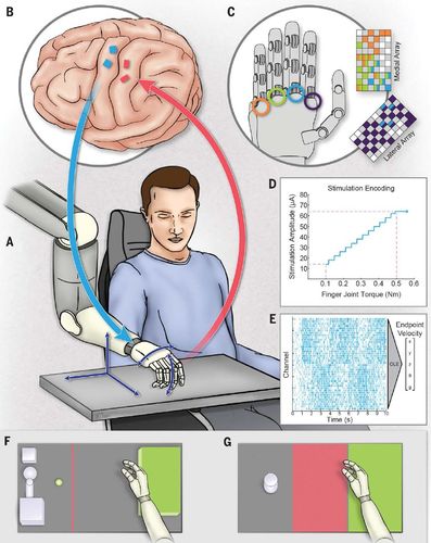 触觉反馈技术将如何重塑未来交互体验？-图2