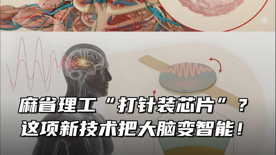 大脑植入芯片如何实现信号交互?-图2 大脑植入芯片如何实现信号交互?-图2